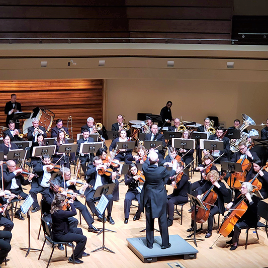 The Chicagoland Educators Orchestra 
